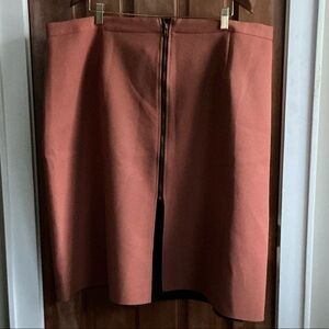 Alice & You Chic A-Line Skirt size 26